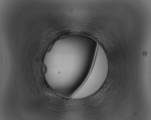 X0000090421153200707130941