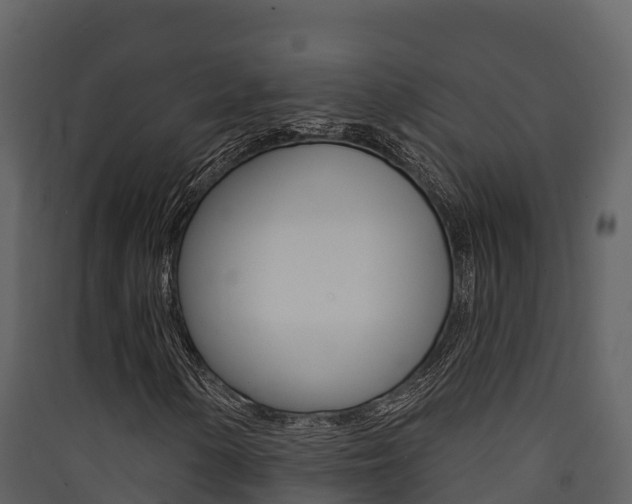 X0000090421154200707130941