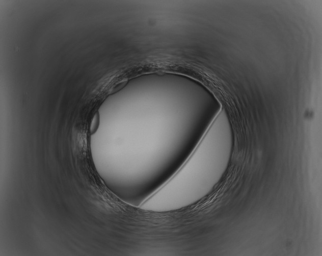 X0000090421155200707130940