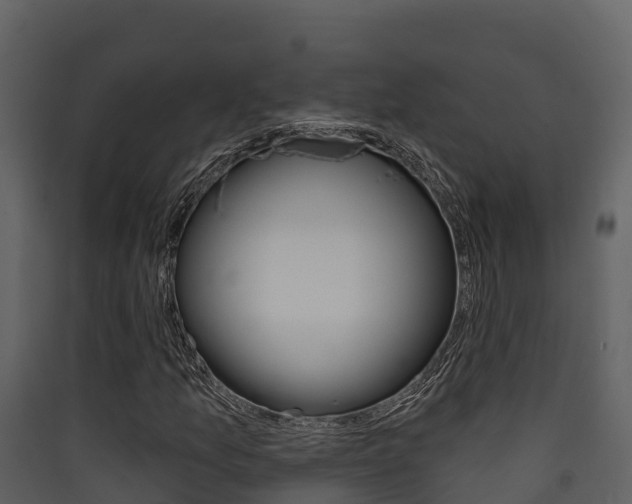 X0000090421157200707130940