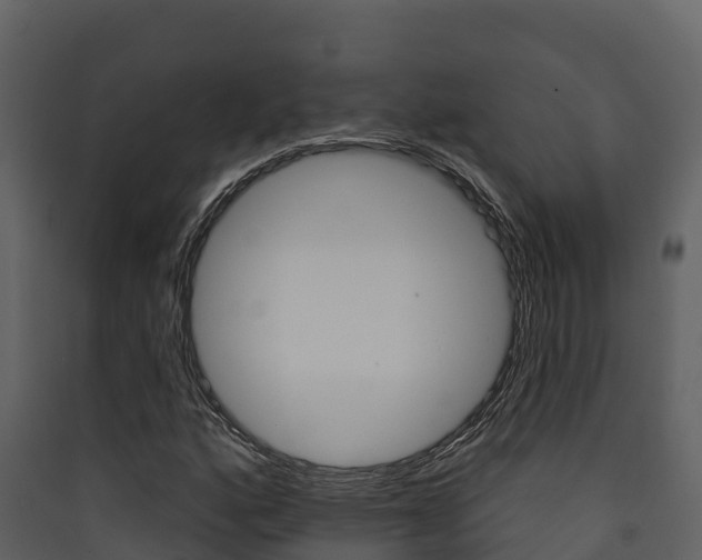 X0000090421160200707130940