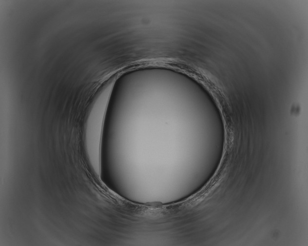 X0000090421161200707130940