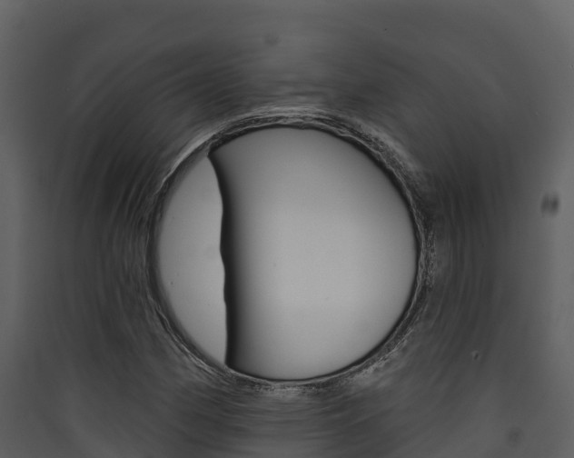 X0000090421162200707130940