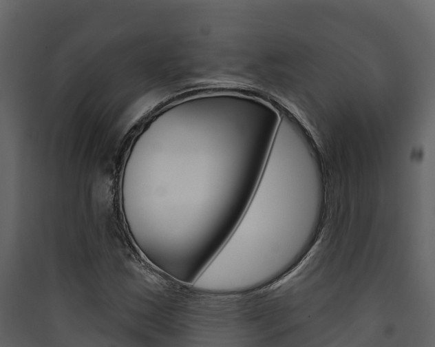 X0000090421163200707130940