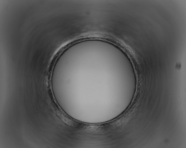 X0000090421166200707130940