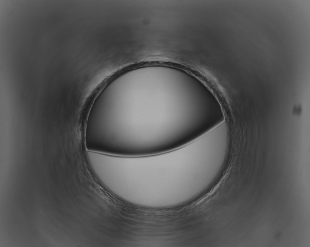 X0000090421167200707130940