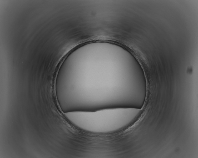 X0000090421170200707130940