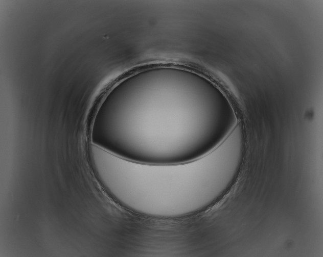 X0000090421172200707130940