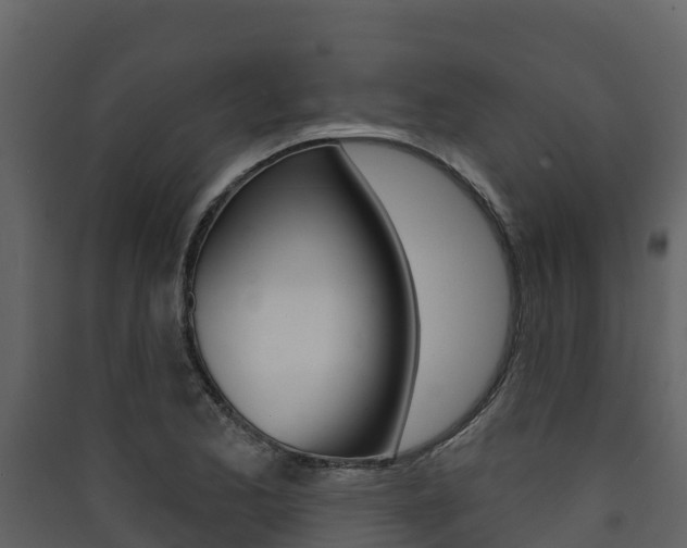 X0000090421173200707130940