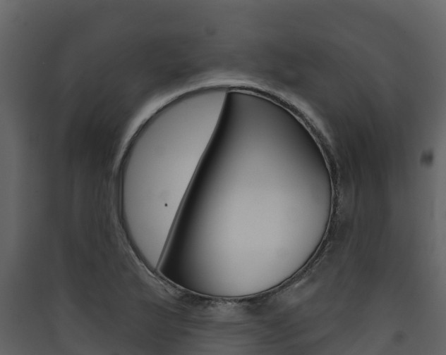 X0000090421175200707130940