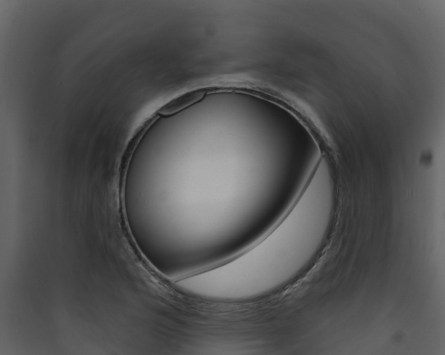 X0000090421176200707130940