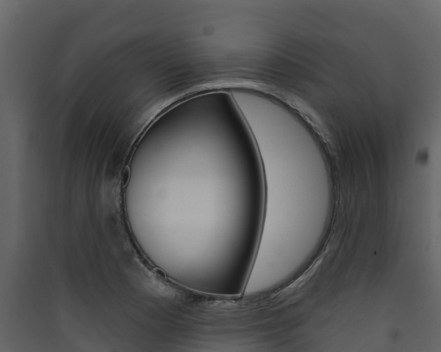 X0000090421177200707130940