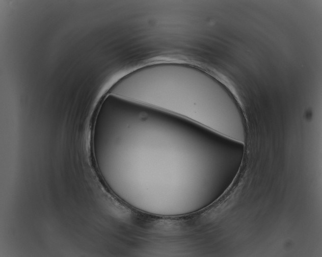 X0000090421179200707130940