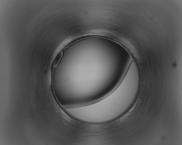 X0000090421180200707130940