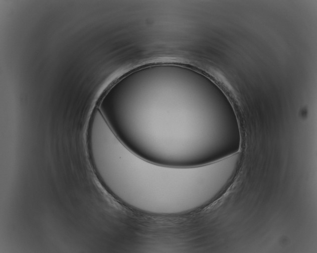 X0000090421181200707130940