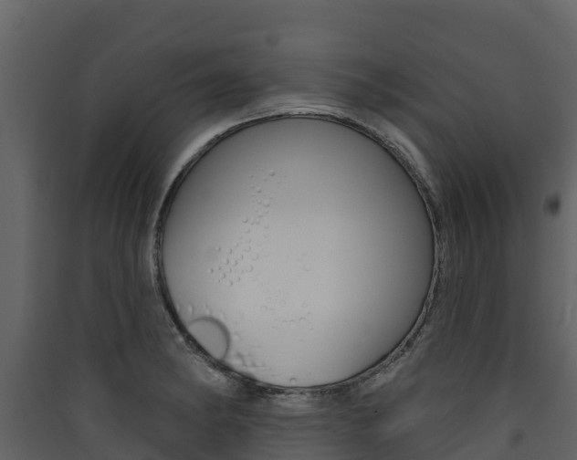 X0000090421182200707130940