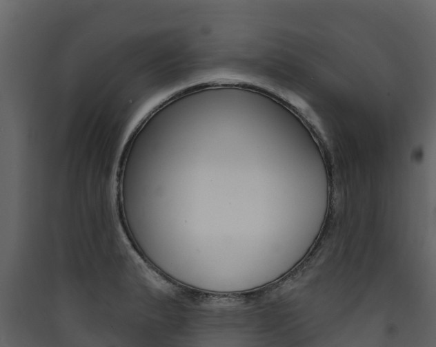 X0000090421183200707130940