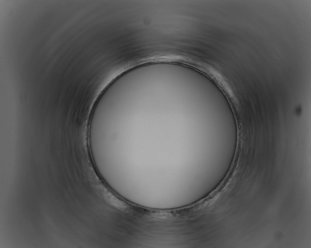 X0000090421186200707130940