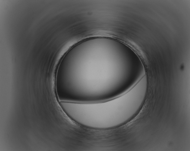 X0000090421188200707130940
