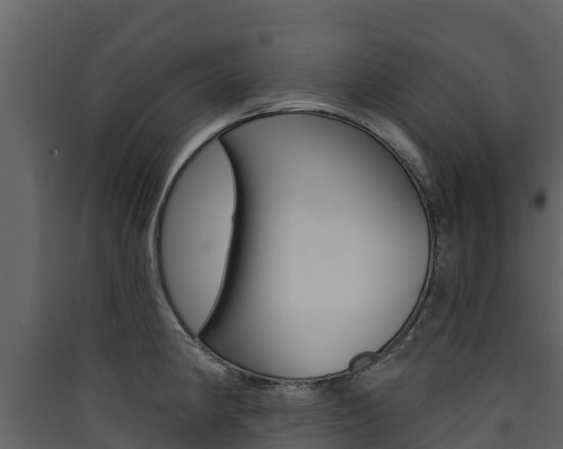 X0000090421190200707130940