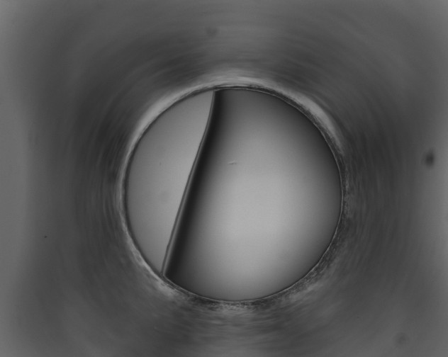 X0000090421191200707130940