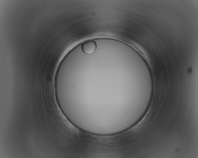 X0000090421192200707130940