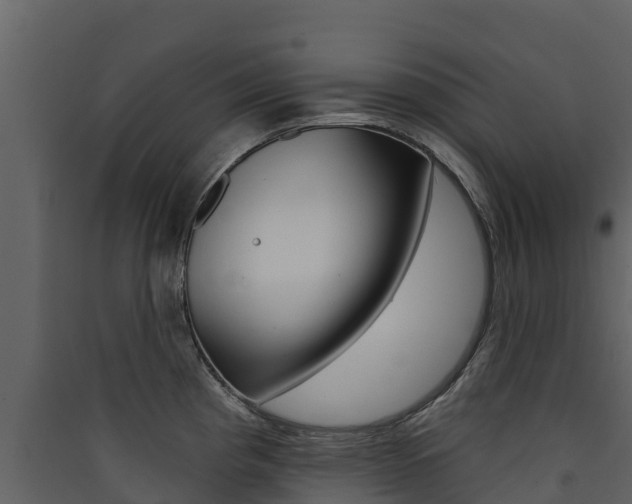 X0000090421193200707130940
