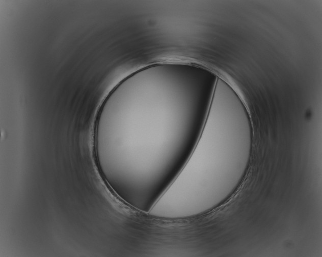 X0000090421195200707130940