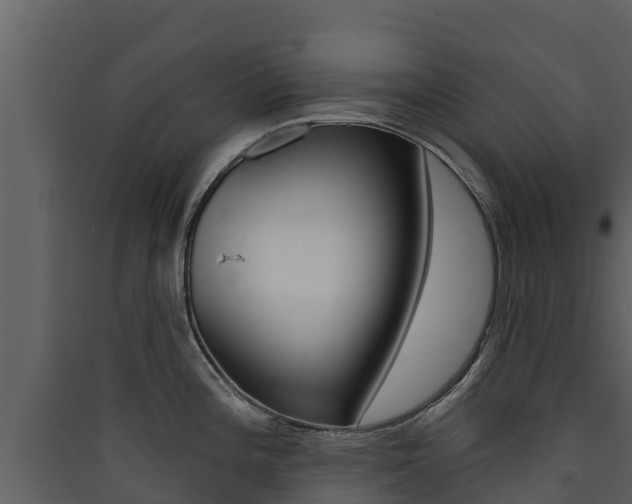 X0000090421196200707130940