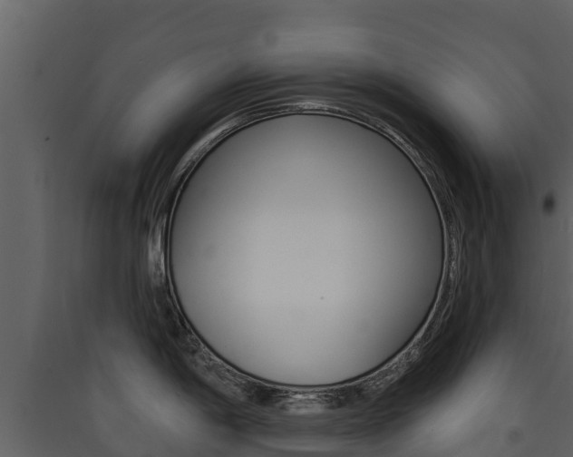 X0000090421198200707130940