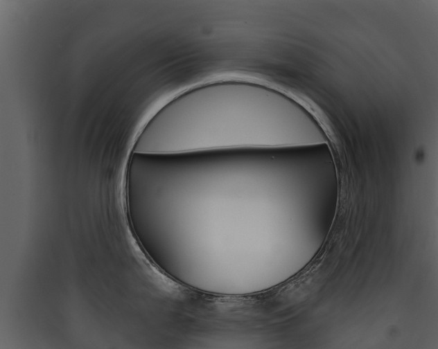X0000090421199200707130940