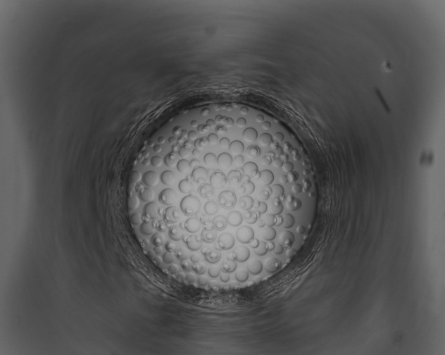 X0000090421201200707130939