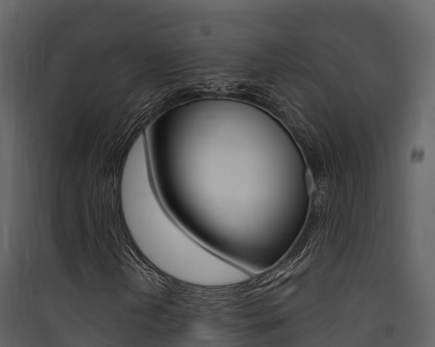 X0000090421202200707130939