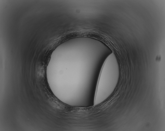X0000090421204200707130939
