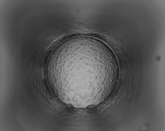 X0000090421205200707130939