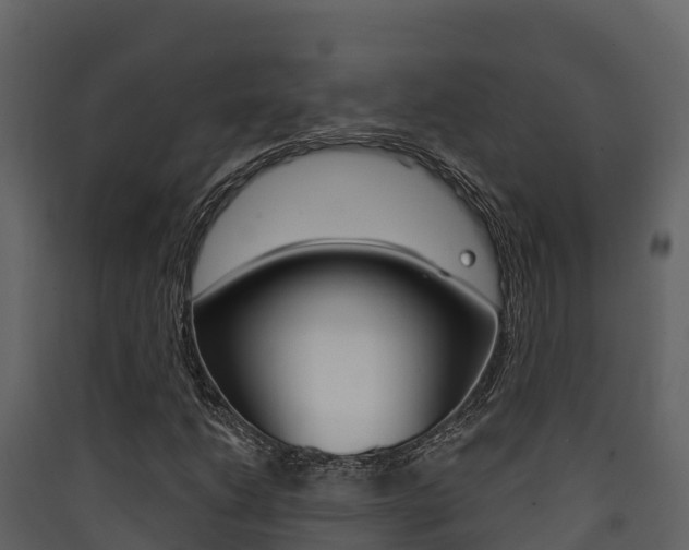 X0000090421206200707130939