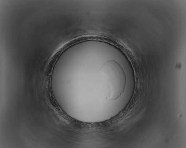 X0000090421208200707130939