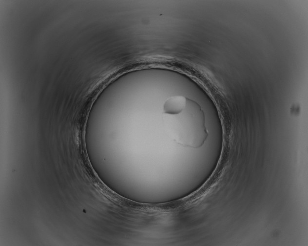 X0000090421209200707130939