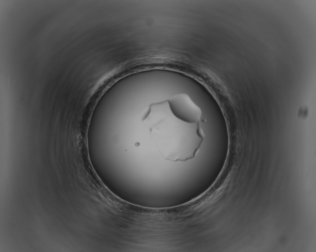 X0000090421210200707130939