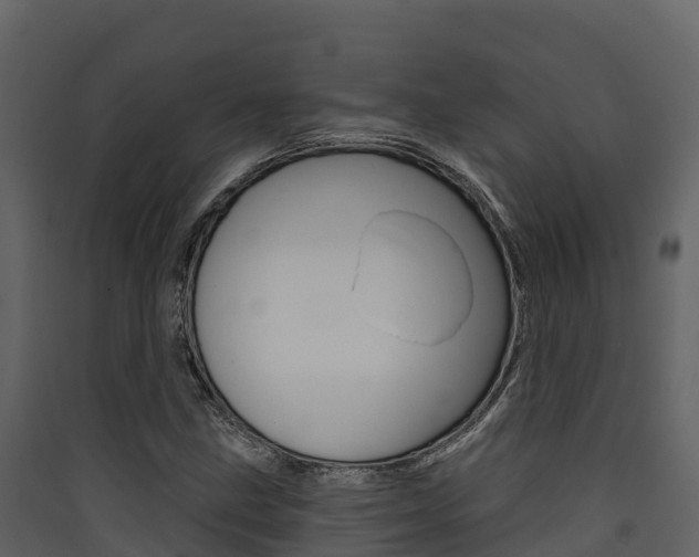 X0000090421211200707130939
