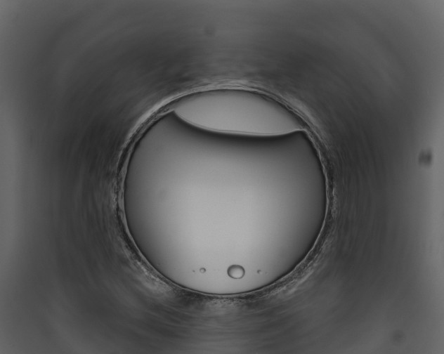 X0000090421212200707130939
