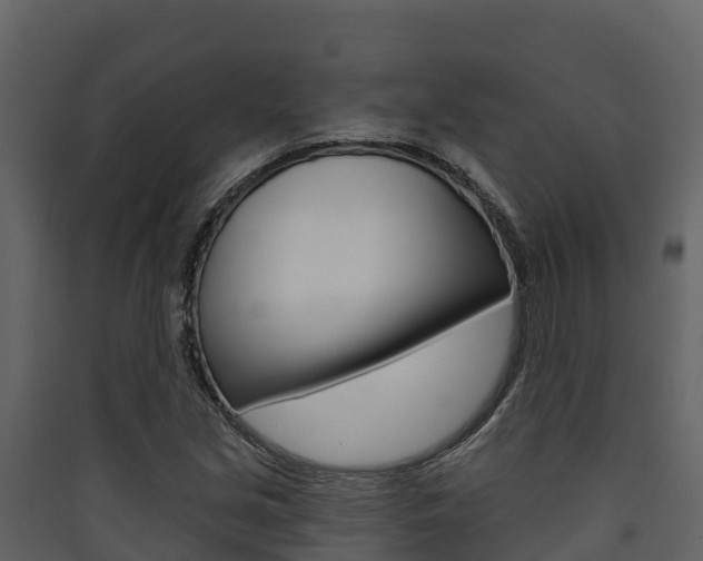 X0000090421213200707130939
