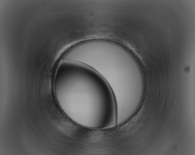 X0000090421214200707130939