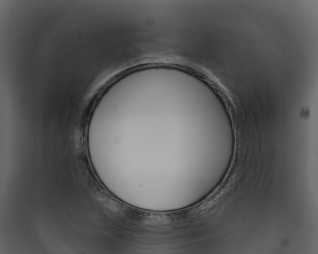 X0000090421215200707130939