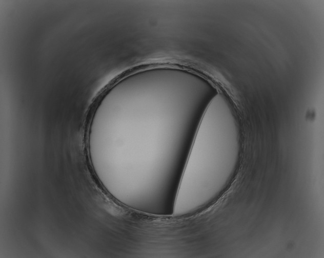 X0000090421216200707130939