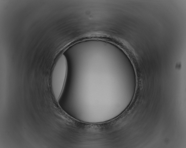 X0000090421217200707130939