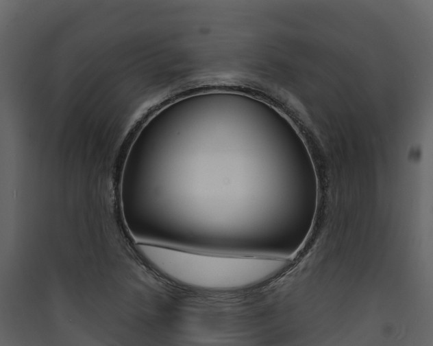 X0000090421218200707130939