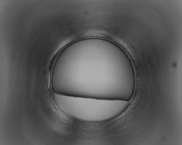 X0000090421219200707130939