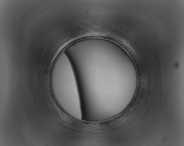 X0000090421220200707130939
