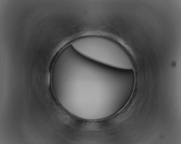 X0000090421221200707130939